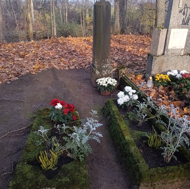 Kol kas nepavyko perskaityti 5