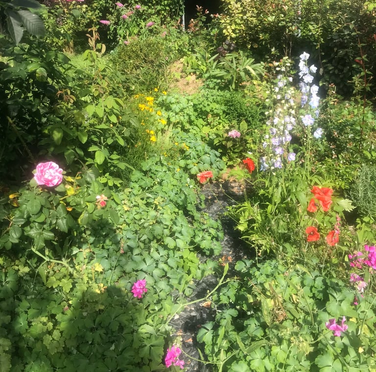 les fleurs du jardin de la longère