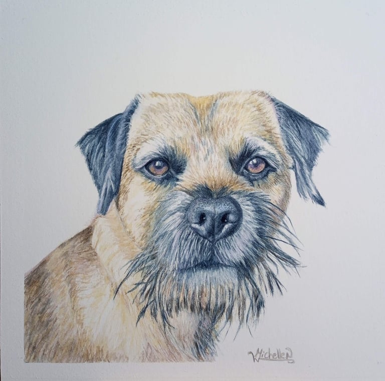 Pet Portrait Commissioned, Terrier