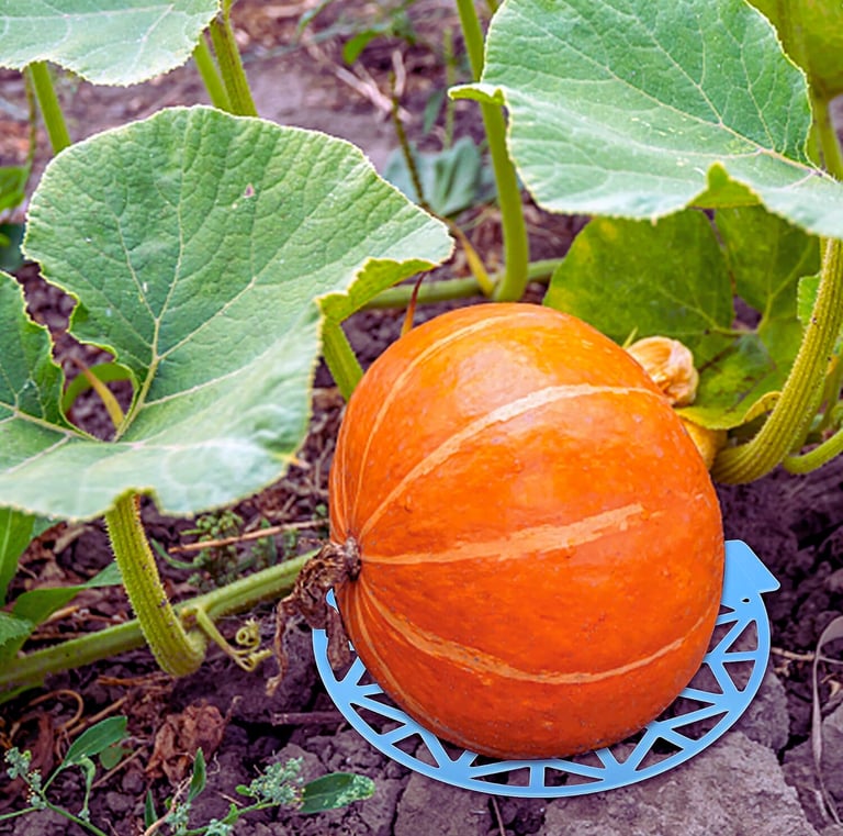 Reusable Pumpkin Support Slings