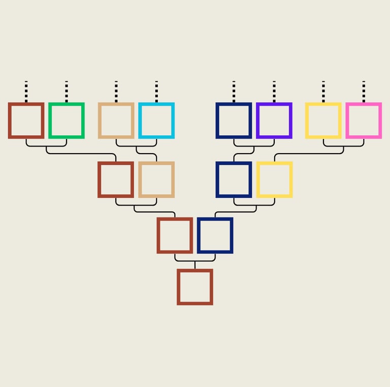 Représentation d'un arbre généalogique vide avec des cases colorées par nom de famille.