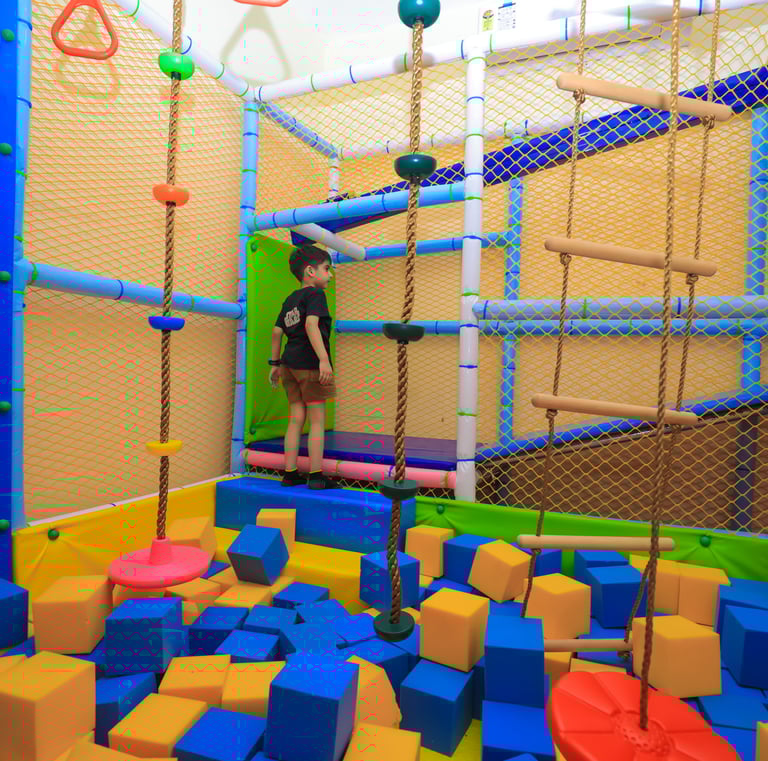 jungle Gym for kids