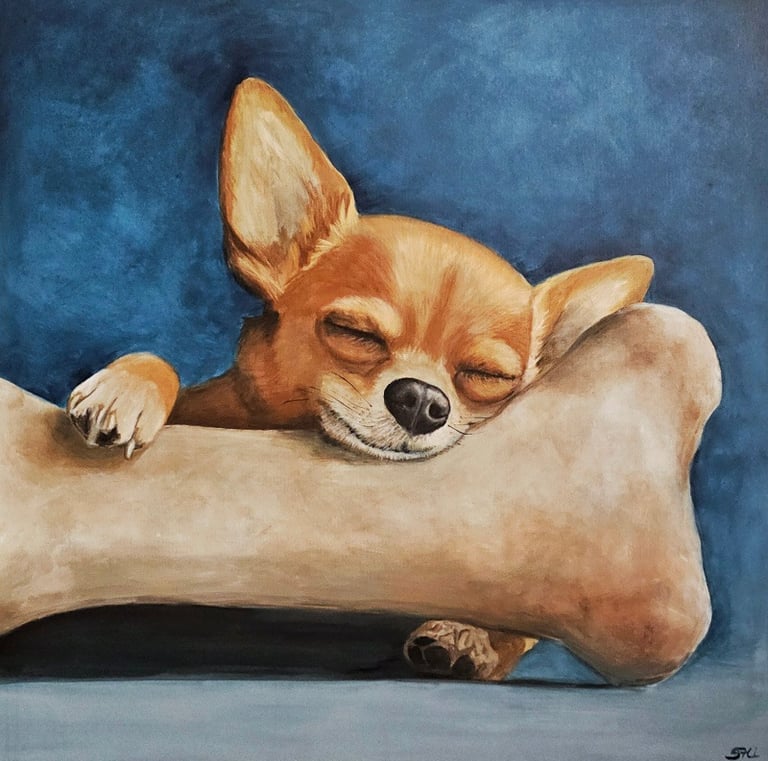 a dog is sleeping on a bone