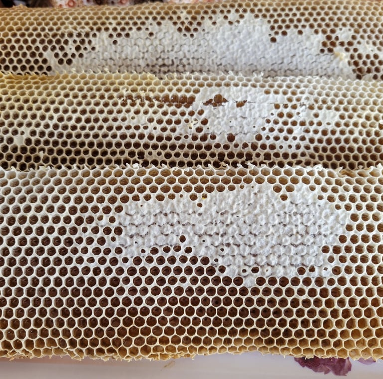 Honey Combs
