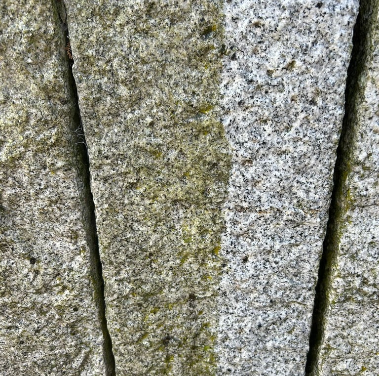 Hochdruckreinigung vorher und nachher Sauberkeit