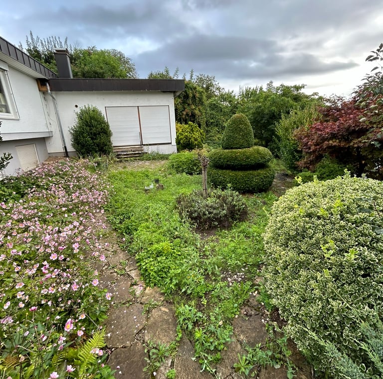 Überblick auf unaufgeräumten udn ungepflegten Garten. Keine Beetpflege. Keine Form und kein Schnitt