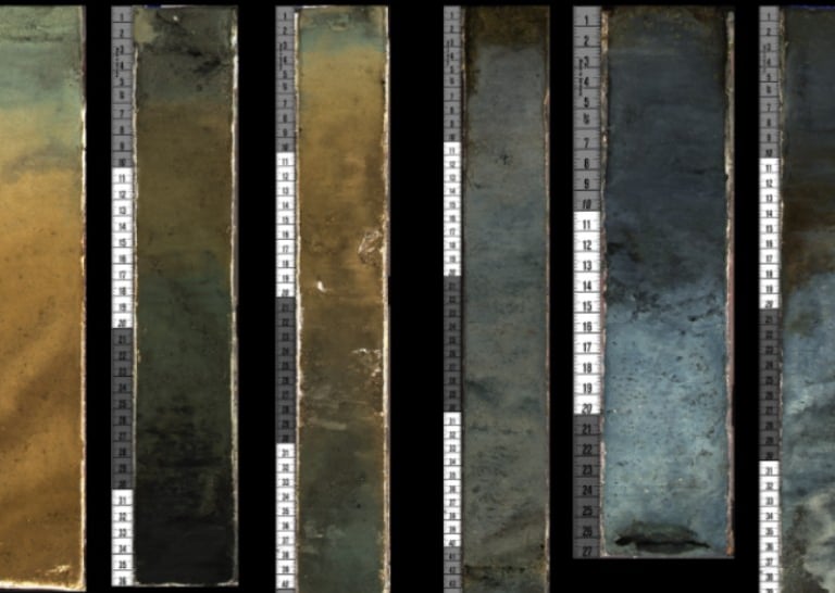 Learn about our Discoveries