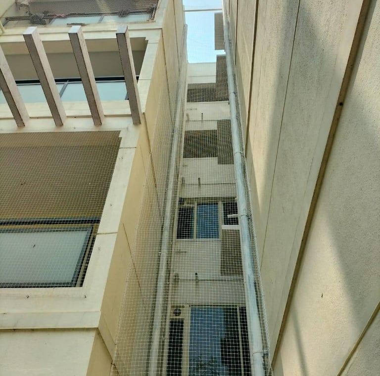 anti pigeon nets in sarjapur road
