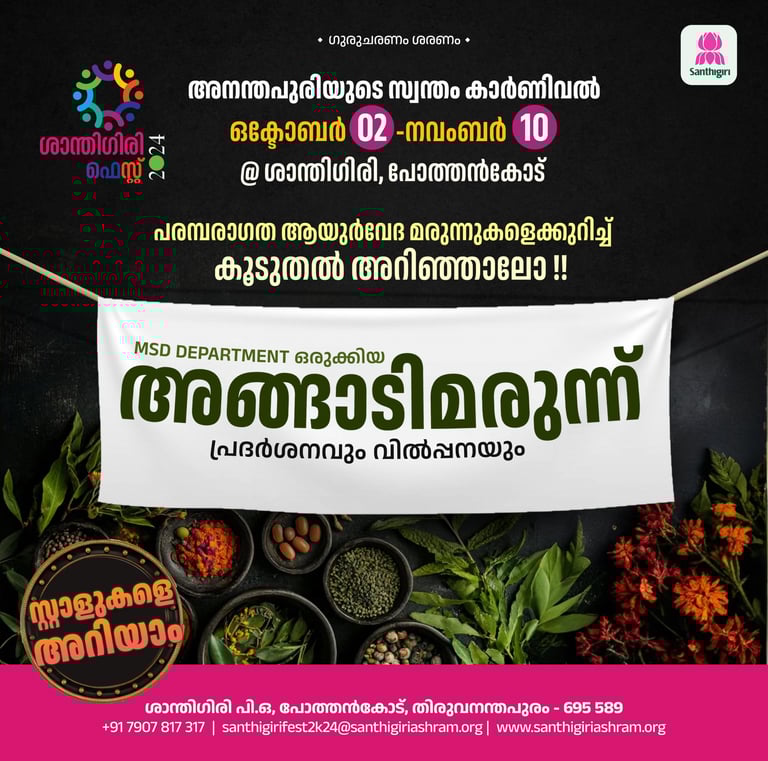 Best Digital Marketing Agency in kasaragod offers creative poster for shanthigiri fest