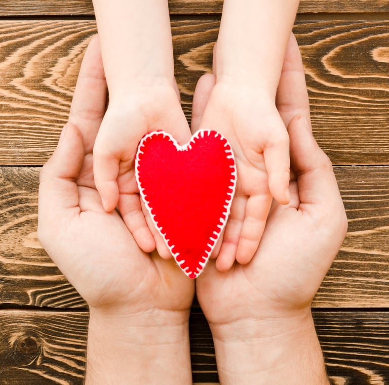 assicurazione sanitaria spagna