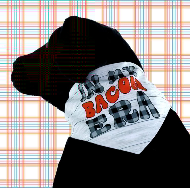 Dog wearing a bandana that says "in my bacon era".