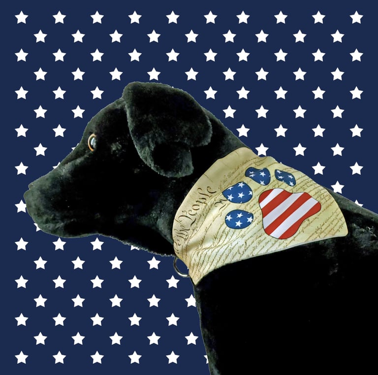 Dog wearing a bandana printed with the preamble to the U S Constitution and a flag themed paw print.