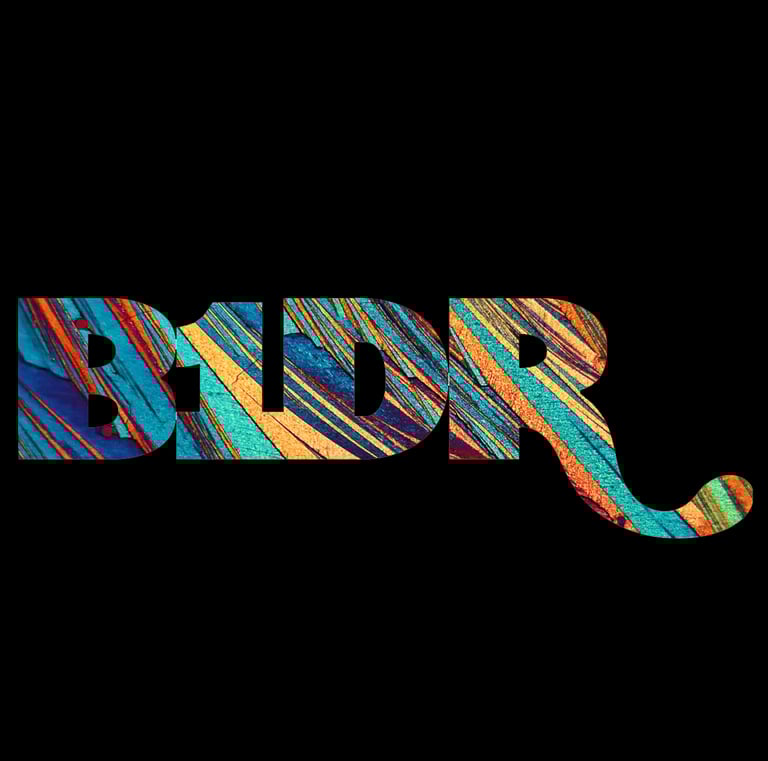 B1DR logo
