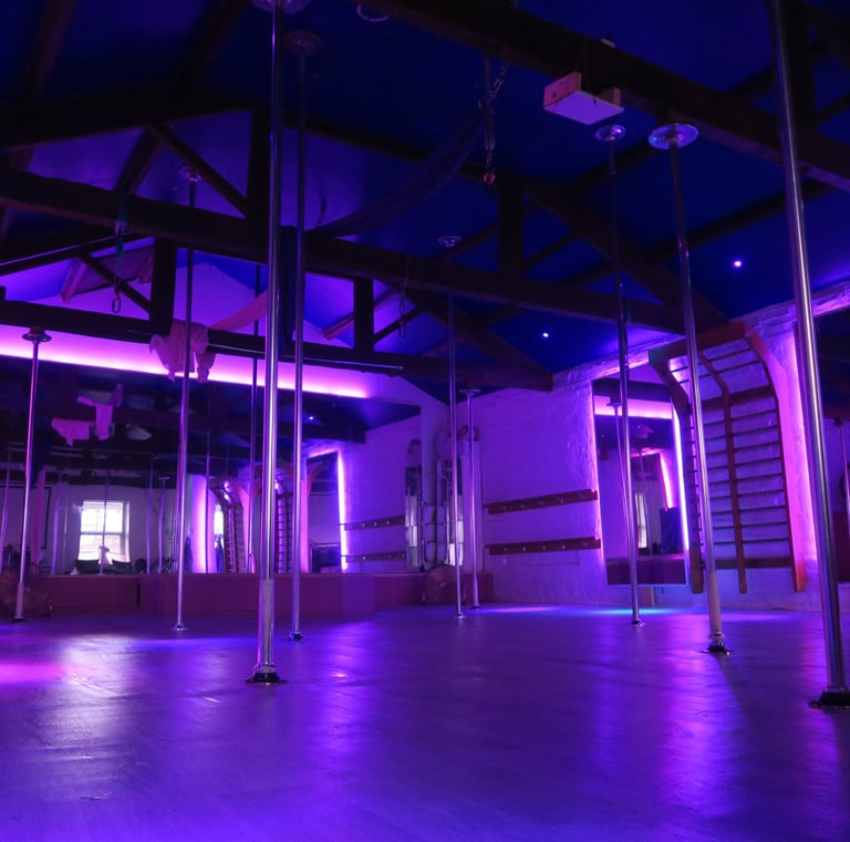 Sxefit studio with 12 spinning poles and full mirrors