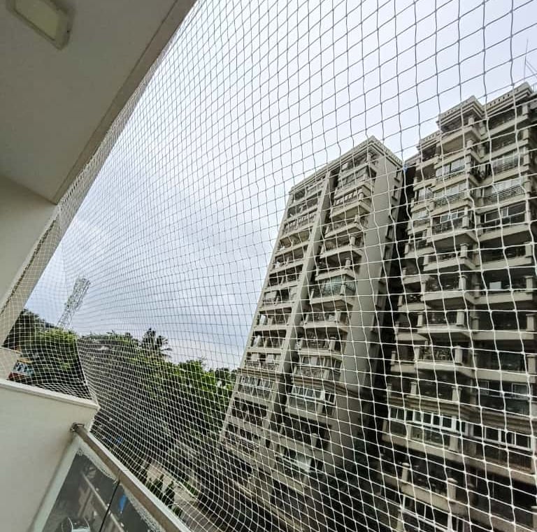 A happy dog safely playing behind a window protected by Arjilli safety nets