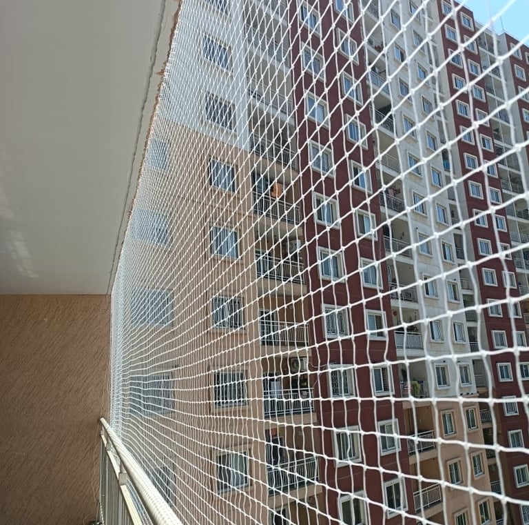 Wide shot of an apartment window covered with a neatly installed pigeon net, sunlight filtering thro