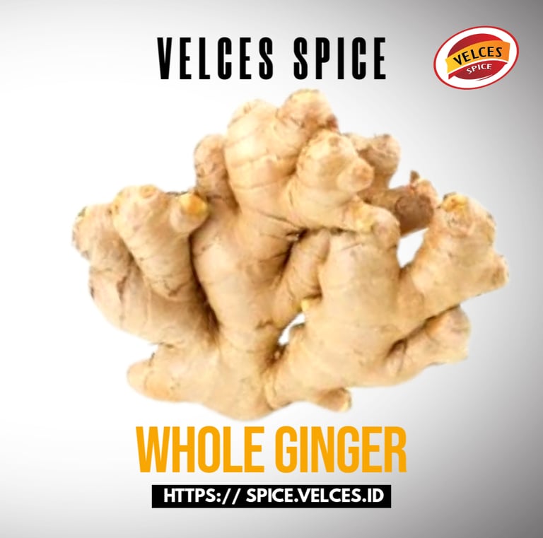 WHOLE GINGER VELCES