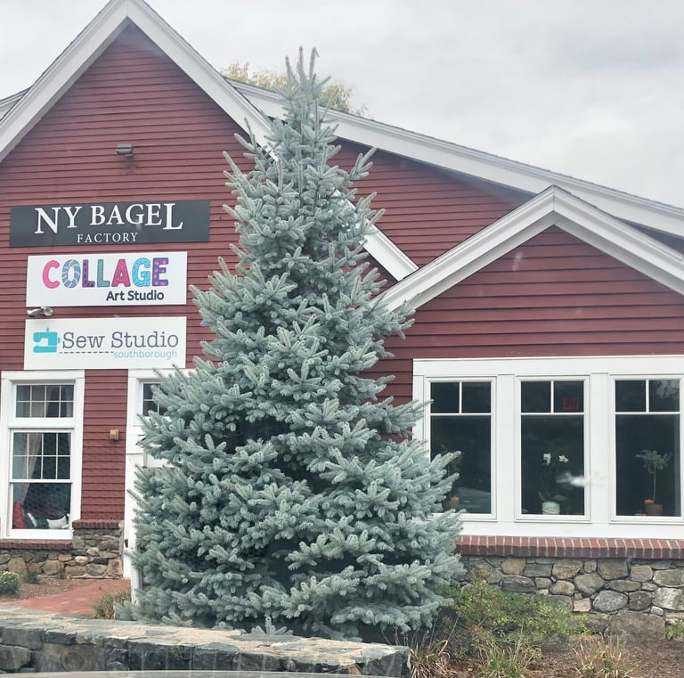 205 Turnpike Road in Southborough building location. Entrance located under signs.