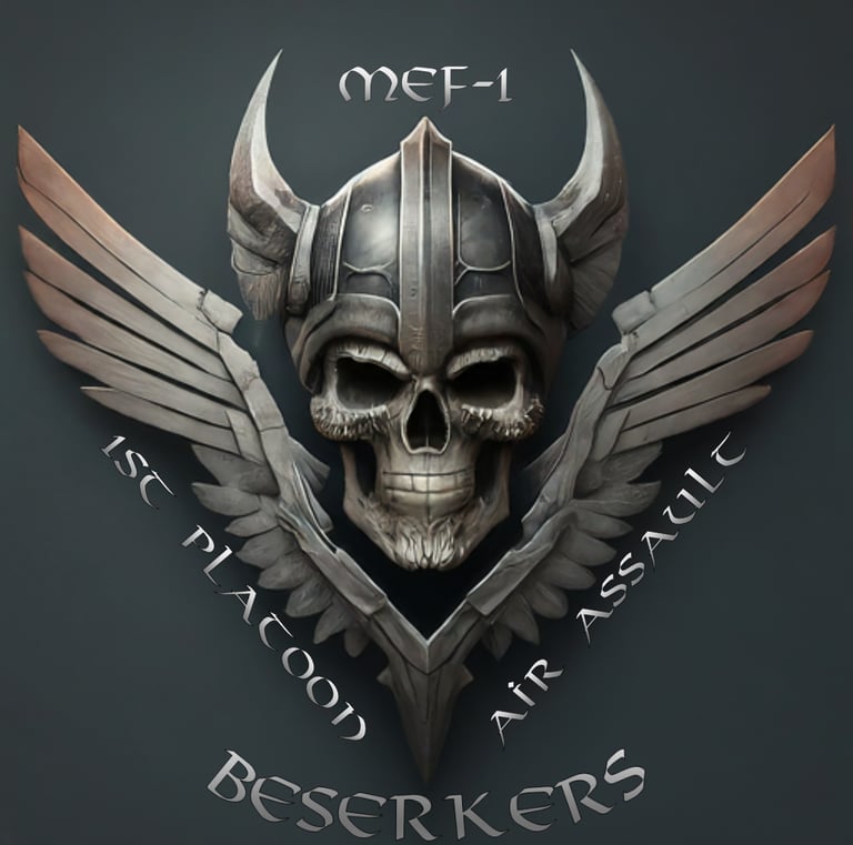 Marine Division 1st Platoon MEF-1