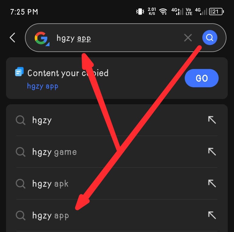 hgzy game app