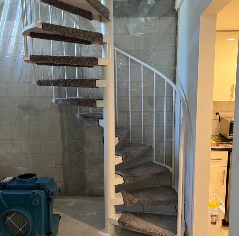 a spiral staircase with a blue carpet and a blue carpet