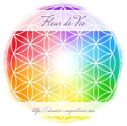 La fleur de Vie