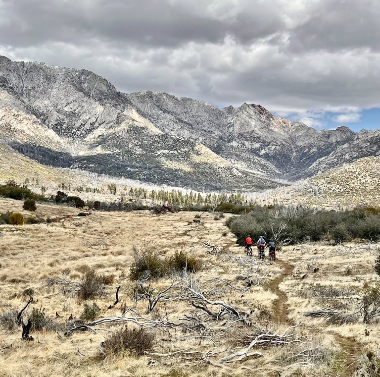 a group of people riding bikes on a trail