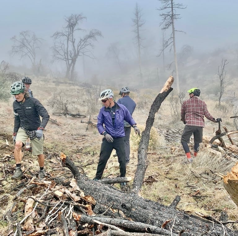 a group of people standing around a pile of logs