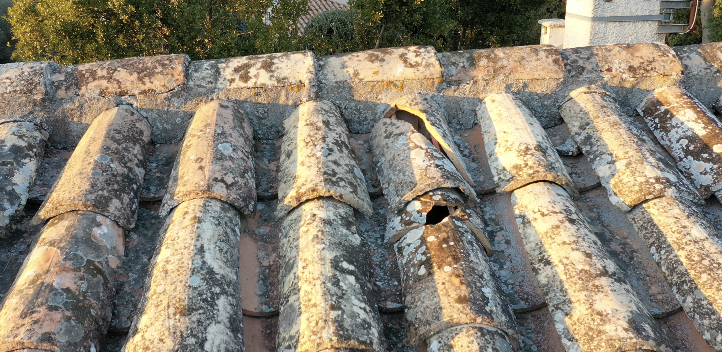 Tuiles de toitures fissurées