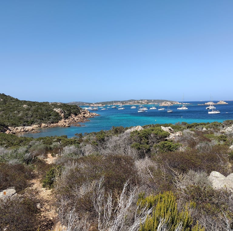 Ankerplatz Isola Budelli, Sardegna
