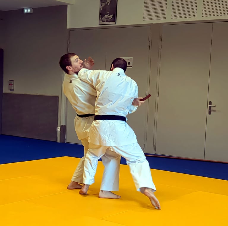 Technique adulte karaté Taï-Jitsu