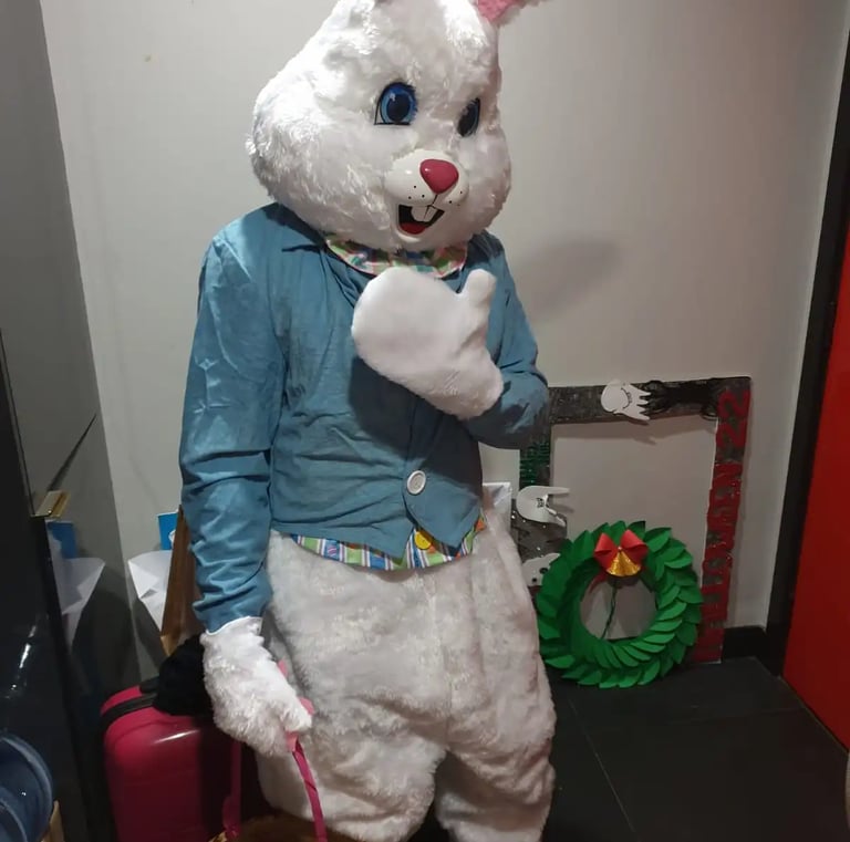 mascot services, costume 