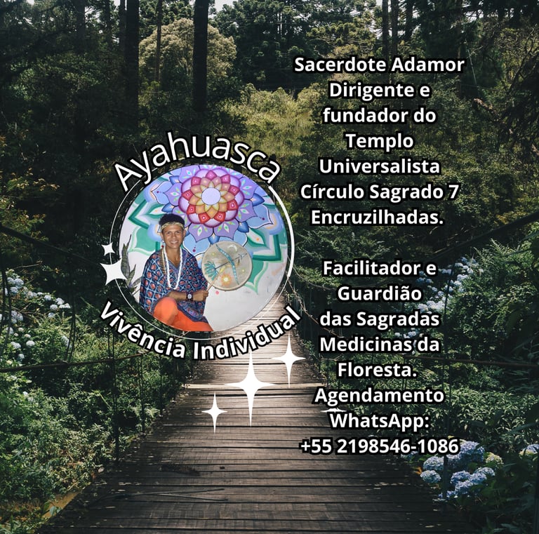 Vivência Individual com Ayahuasca