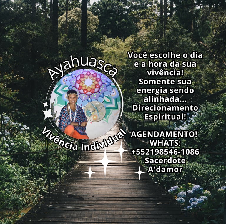 Vivência Individual com Ayahuasca