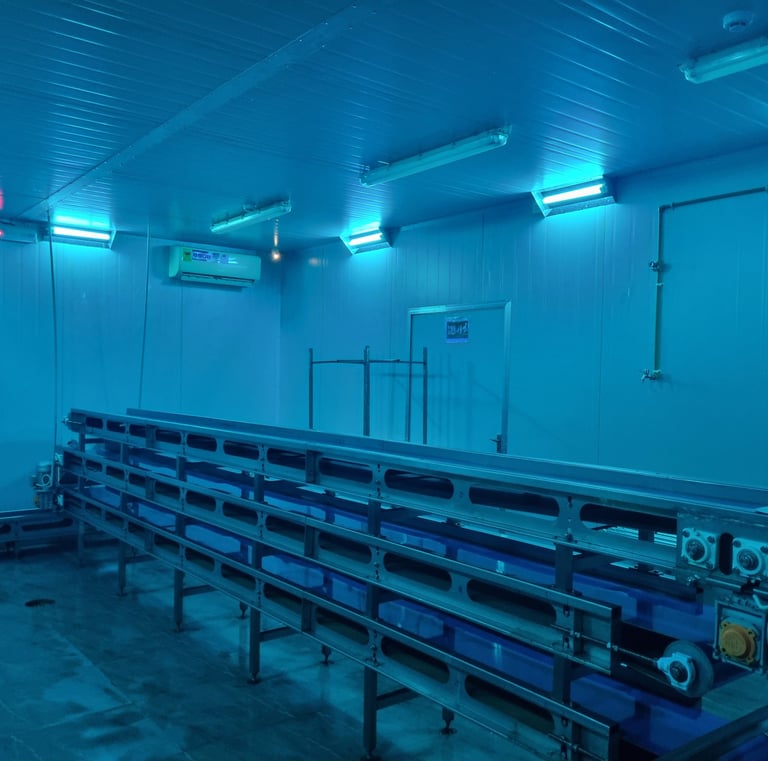 Medical Grade UV sterilisation