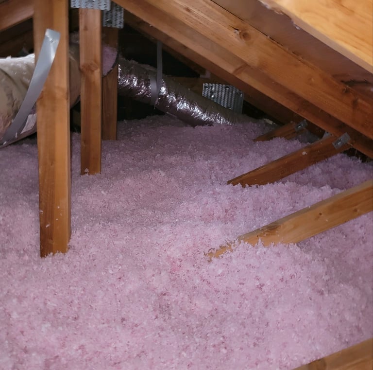 Blow in Insulation rodent damaged 