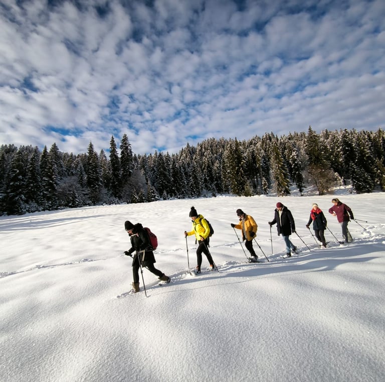 schneeschuhwanderung durch der Wald in Leutasch