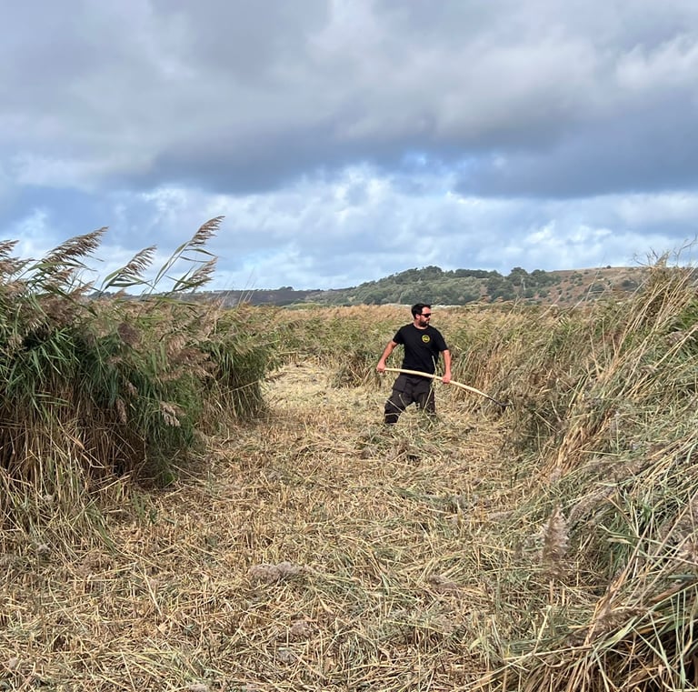 land_culture_projects_st_ouen