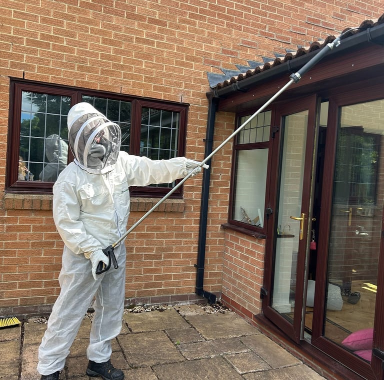 professional exterminator treating wasps under tiles using a pole