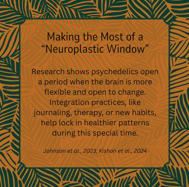 Integration: Making the most of a neuroplastic window