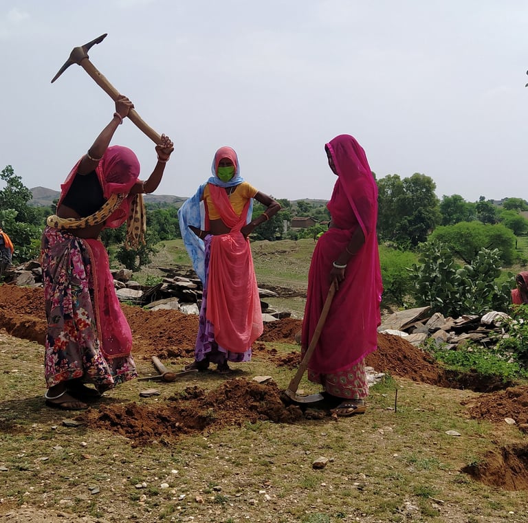 Watershed management and community project in Udaipur by Bhuvnesh and Pukaar