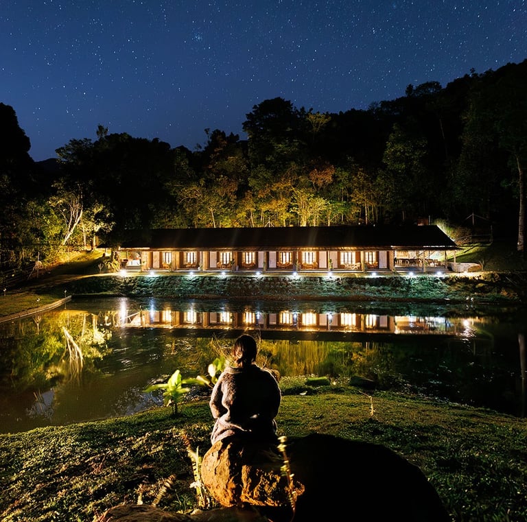 Jungle park resort, Wayanad under starry night.