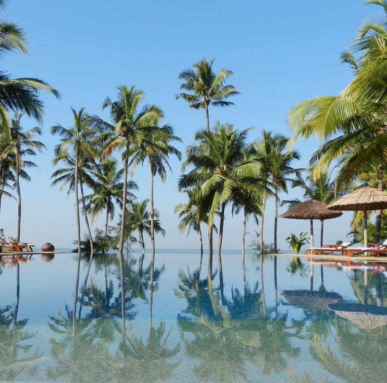 Serene Kerala landscape featuring lush coconut trees and a tranquil infinity pool reflecting the clear blue sky.