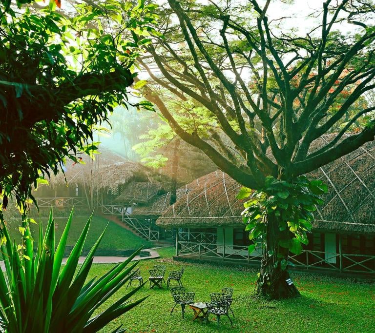 Kerala jungle retreat featuring thatched-roof cottages, lush greenery, and outdoor seating, evoking immersive experience.