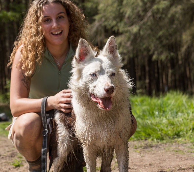 Maiya, a dog walker in harrogate with a dog