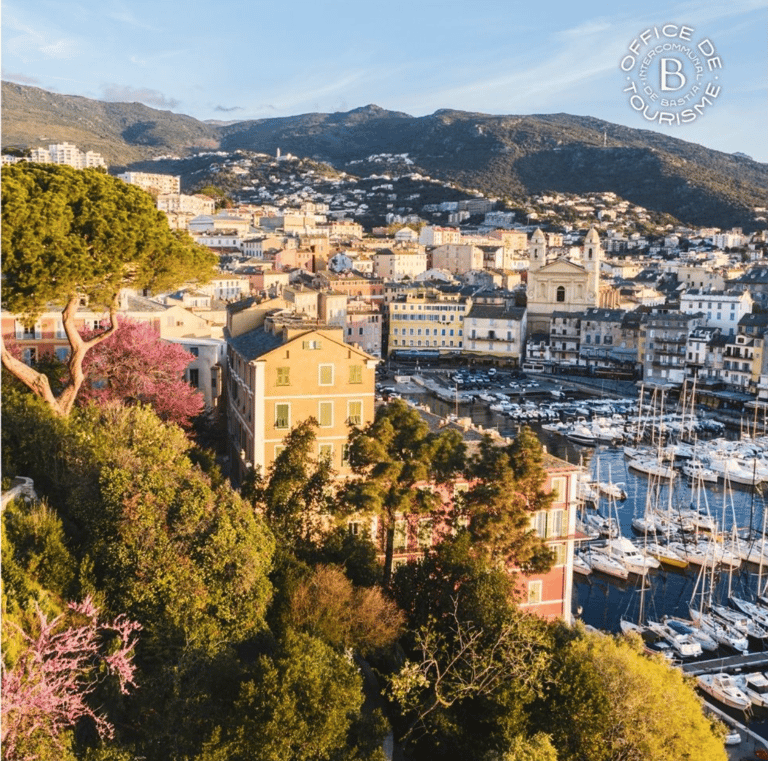 le vieux port vu du jardin Romieu