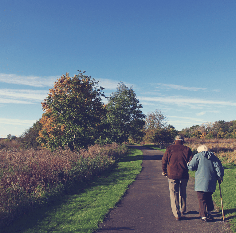 Senjorai išėjo pasivaikščioti pėščiūjų taku.