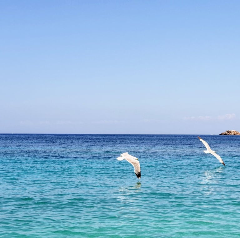 Blick vom Strand Le Ghiaie auf der Insel Elba