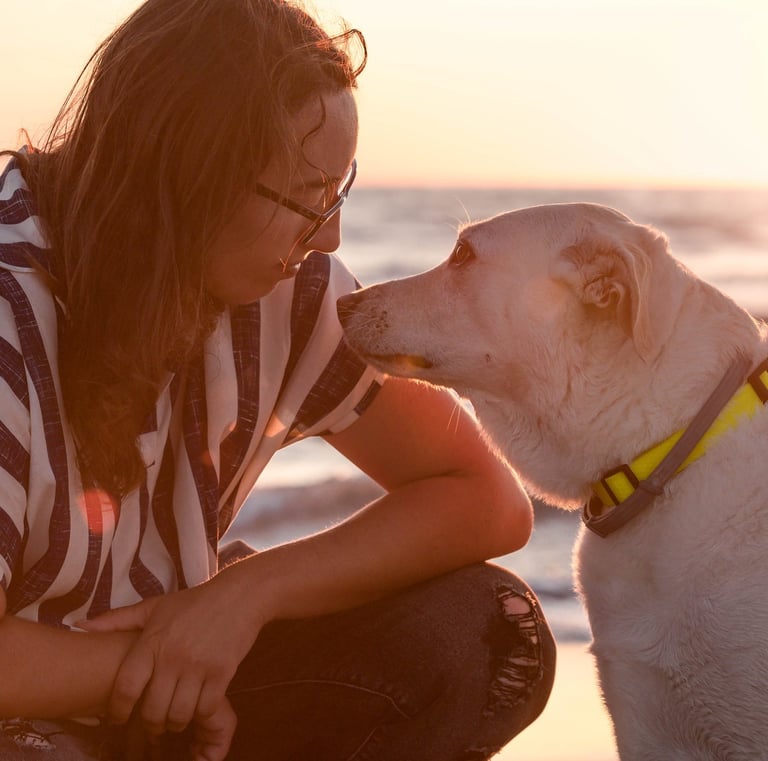 ragazza e cane bianco che si guardano negli occhi al tramonto sul mare