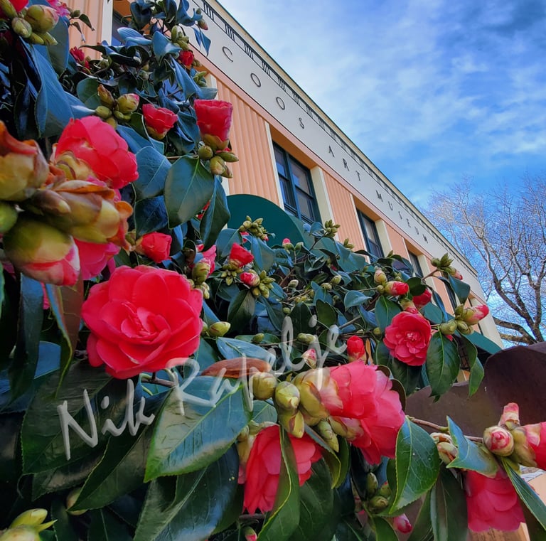 flowers in front of the Coos Art Museum